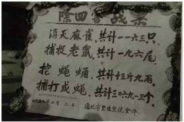 历史老照片1958年全民除四害