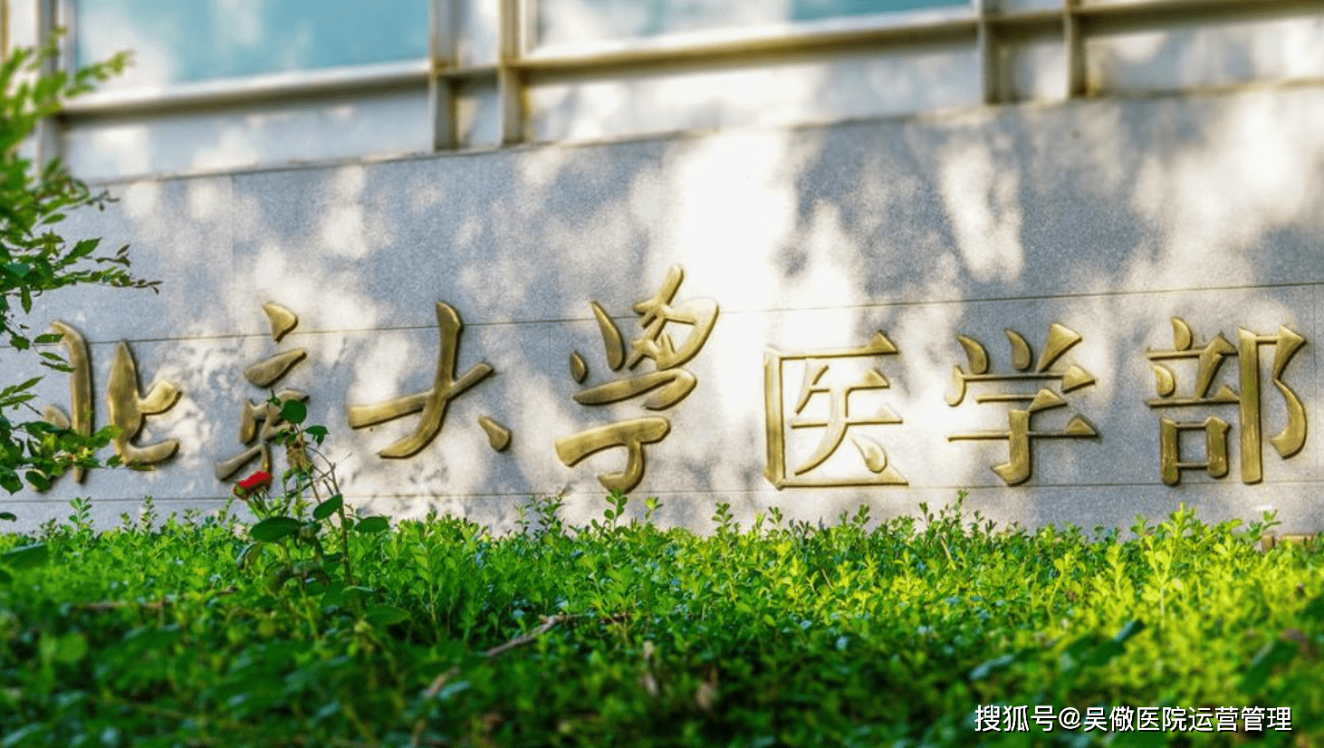 北京大学医学部壁纸图片