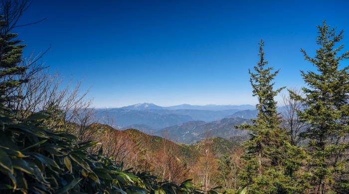 这份产品质量国抽公告，揭开家电价格战的恶果和真相-家电圈官网