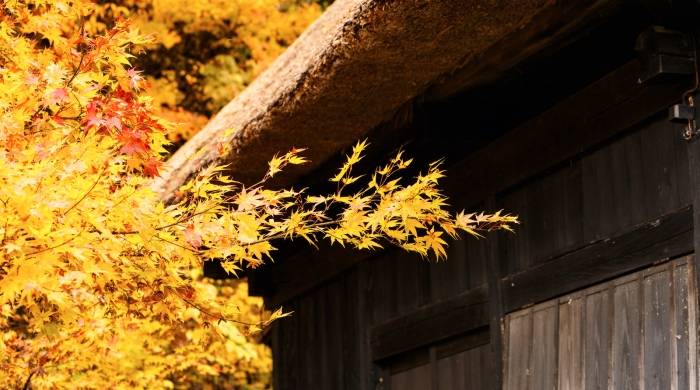 豆浆机泡茶机到咖啡机，这类小家电的商业机会与逻辑？-家电圈官网