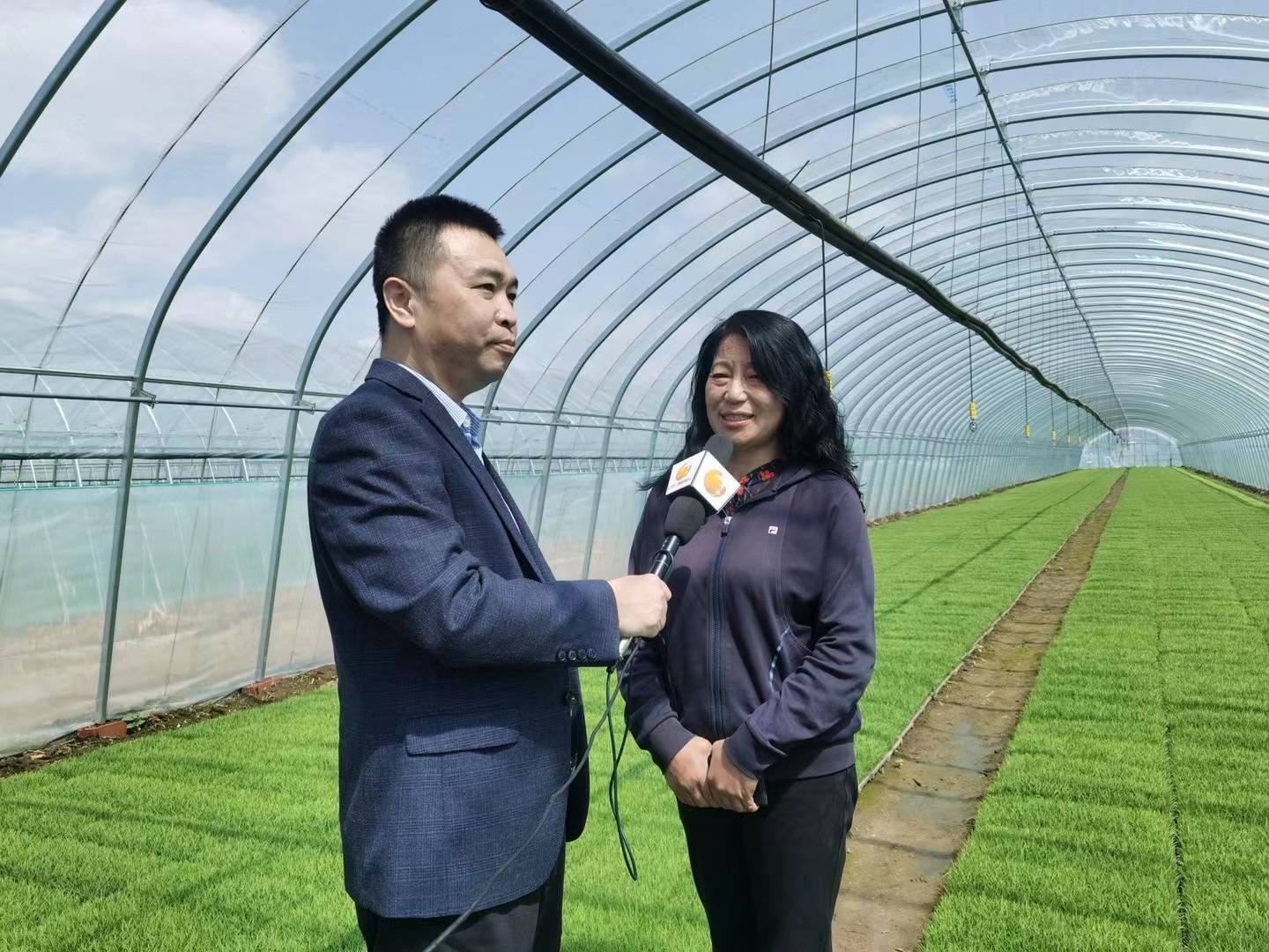 辽宁联合融媒体中心总编姚勇专访东古城李静理事长-搜狐大视野-搜狐新闻