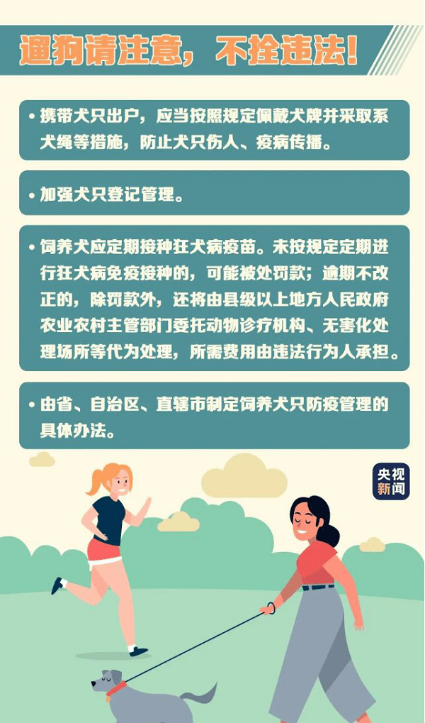 跟着虹泰快速跟上新修订的法律 杭州宠物医院哪家靠谱 疫苗