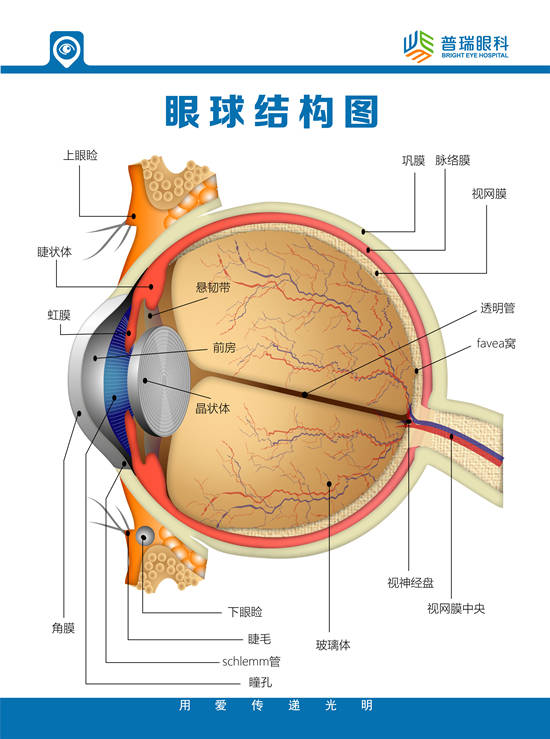 武汉普瑞眼科医院刘红山教授话题专访关注眼健康远离角膜病