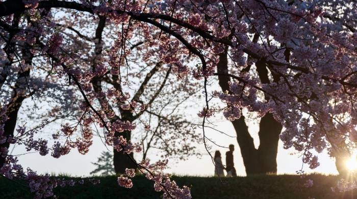线上直播线下扫街，家电经销商引流当避免捡芝麻丢西瓜-家电圈官网