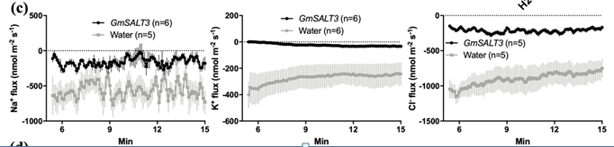 Pce中国农科院作物所 Gmsalt3通过两种不同机制诱导植物排na 排cl 响应盐胁迫 Gmsalt