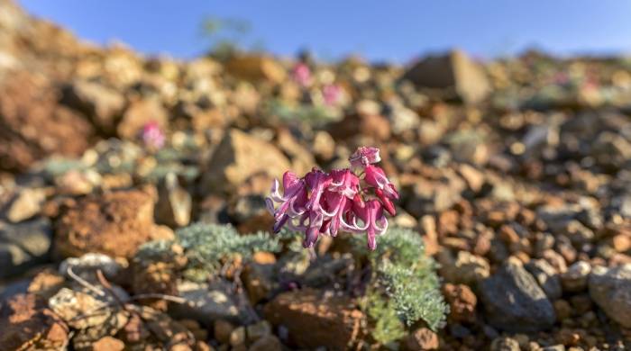 新一轮地方版家电“以旧换新”来了！市场从此将会变好?-家电圈官网