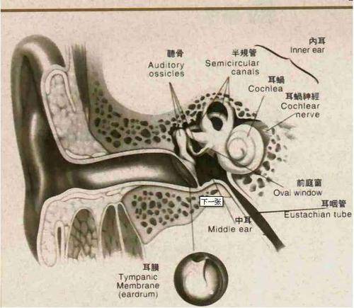 贵阳铭仁耳鼻喉医院耳朵出现闷堵感当心可能是外耳道胆脂瘤