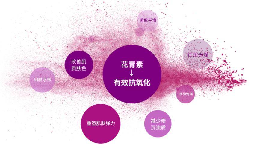 傳聞花青素可以抗衰老 給朋友一個忠告明確愛女人 6手遊攻略大全 傳聞花青素可以抗衰老 給朋友一個忠告明確愛女人 6手遊攻略大全