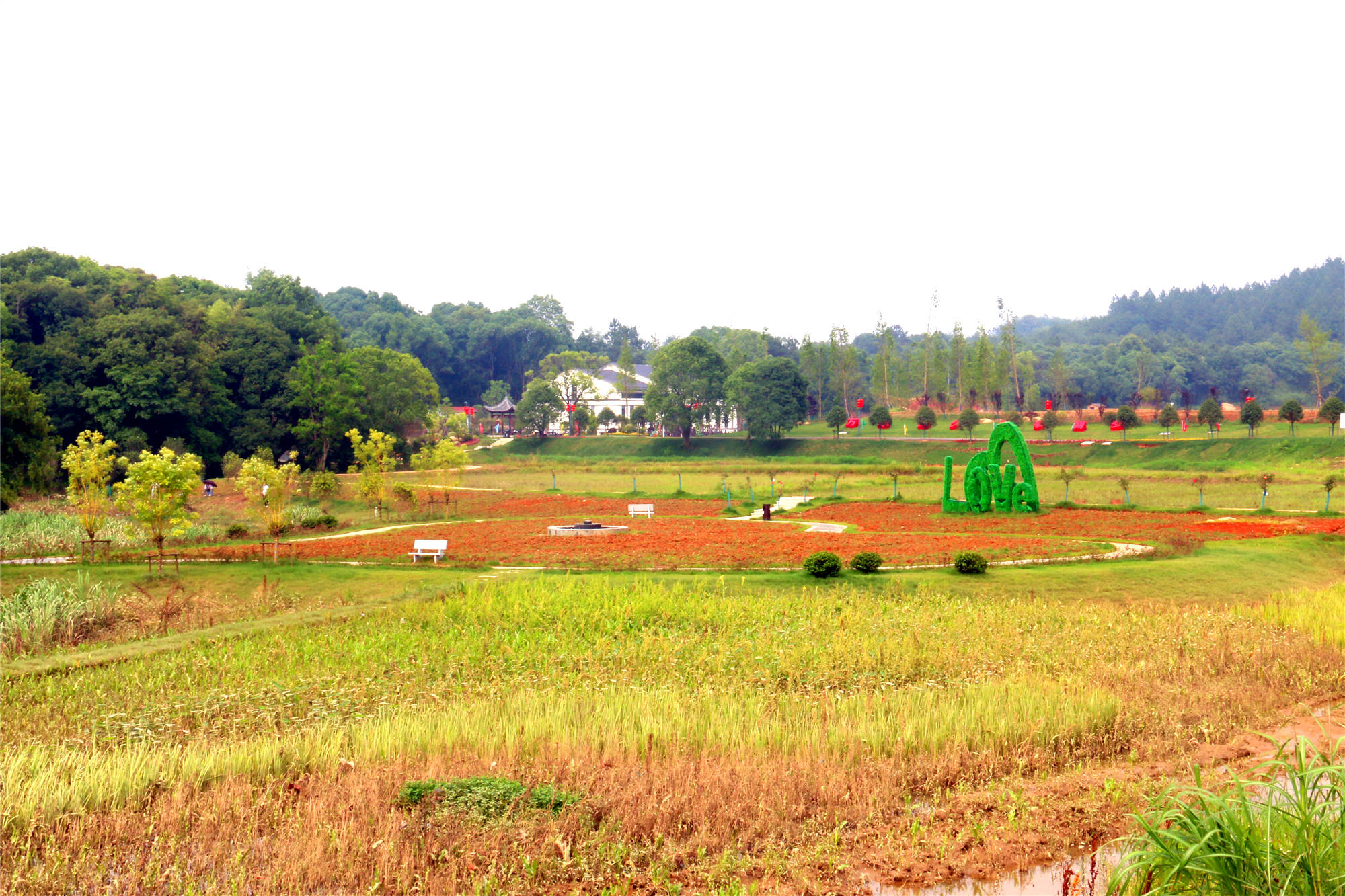 江西万年:越溪田园好风光