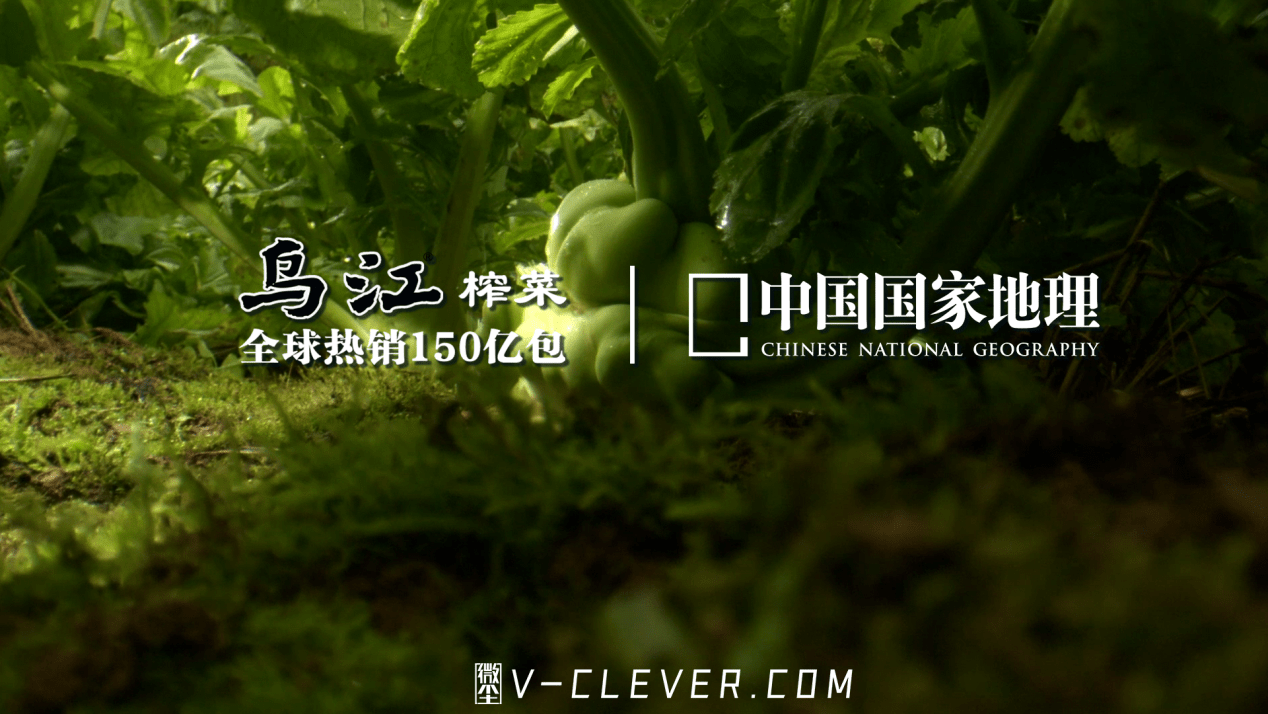 张铁林乌江榨菜广告图片