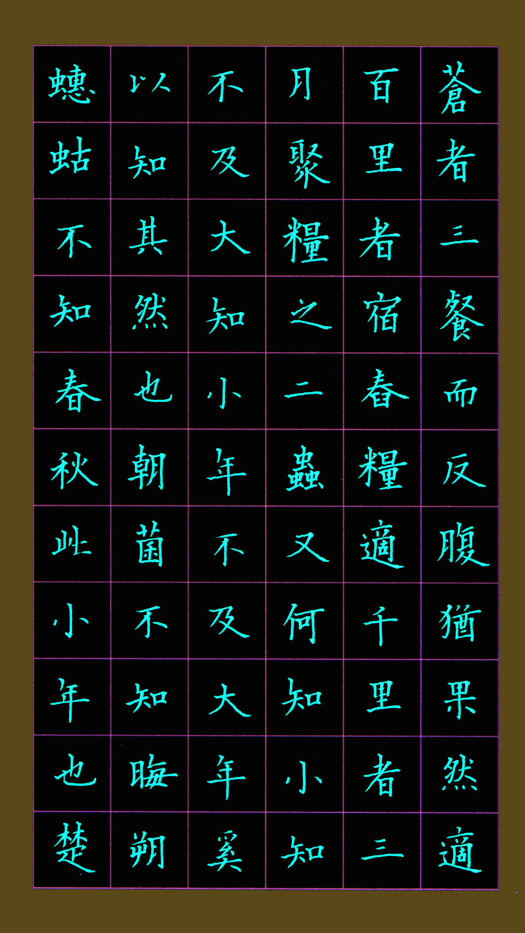 中国硬笔书法名家王朔峰硬笔唐楷习作庄子逍遥游15