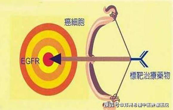 87a14afe594a4dbcbcb64011a6360ce4.jpeg