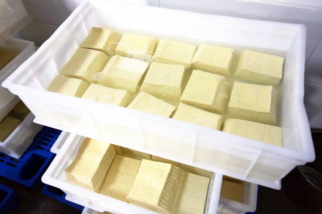 马县令豆腐机|一斤黄豆能出多少斤豆腐