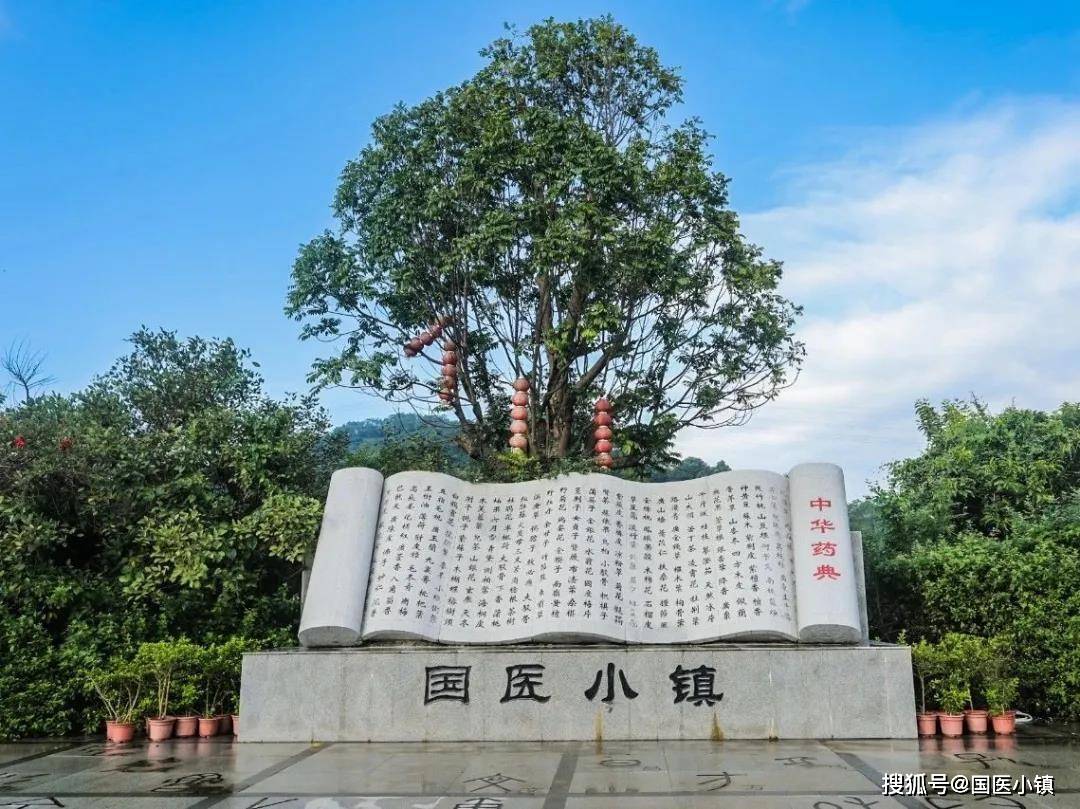 【国医小镇 科普研学】传承国医文化 弘扬国粹精髓活动回顾