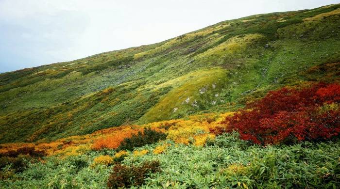 从高端消费到超高端消费，洗衣机产业“慢牛快跑”闯出新契机-家电圈官网
