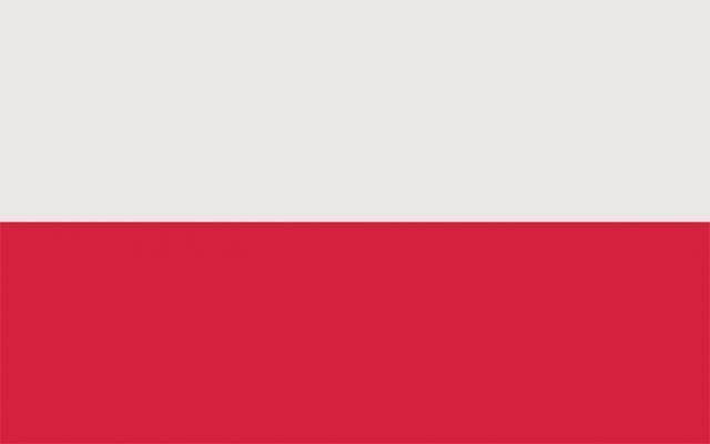 波兰巡礼：坐拥世一锋 欧洲杯成绩决定莱万争金球_鲁普斯基