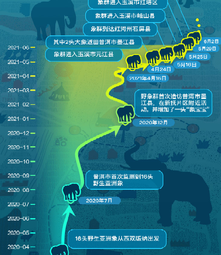 西双版纳大象迁徙路线图片