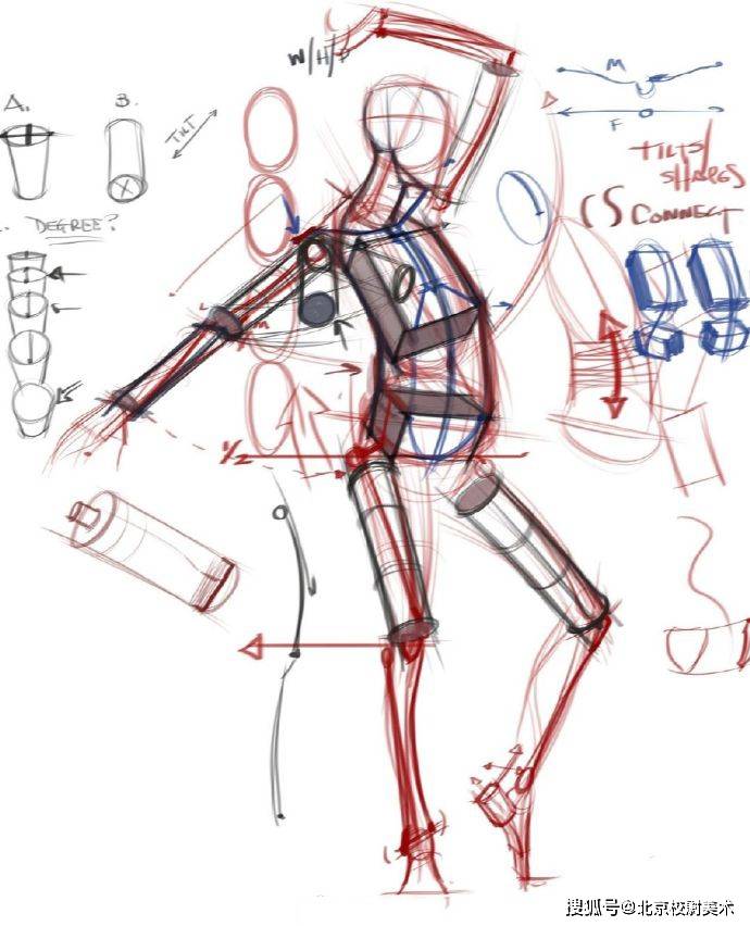 艺用人体动态比例透视