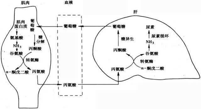 质量抛扔原理是什么_什么是抛釉砖(2)