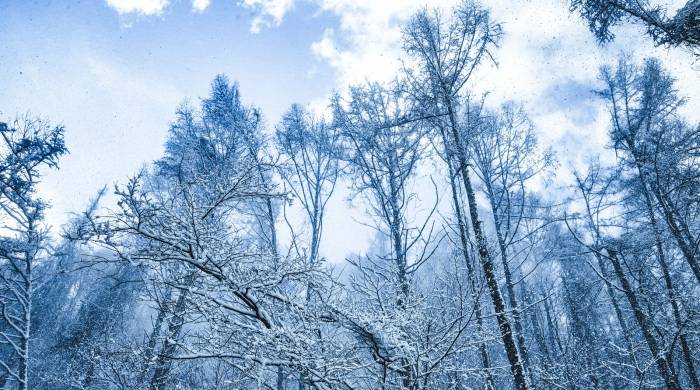 除了紧盯一线出货，家电企业还得加快这项变革的落地！-家电圈官网