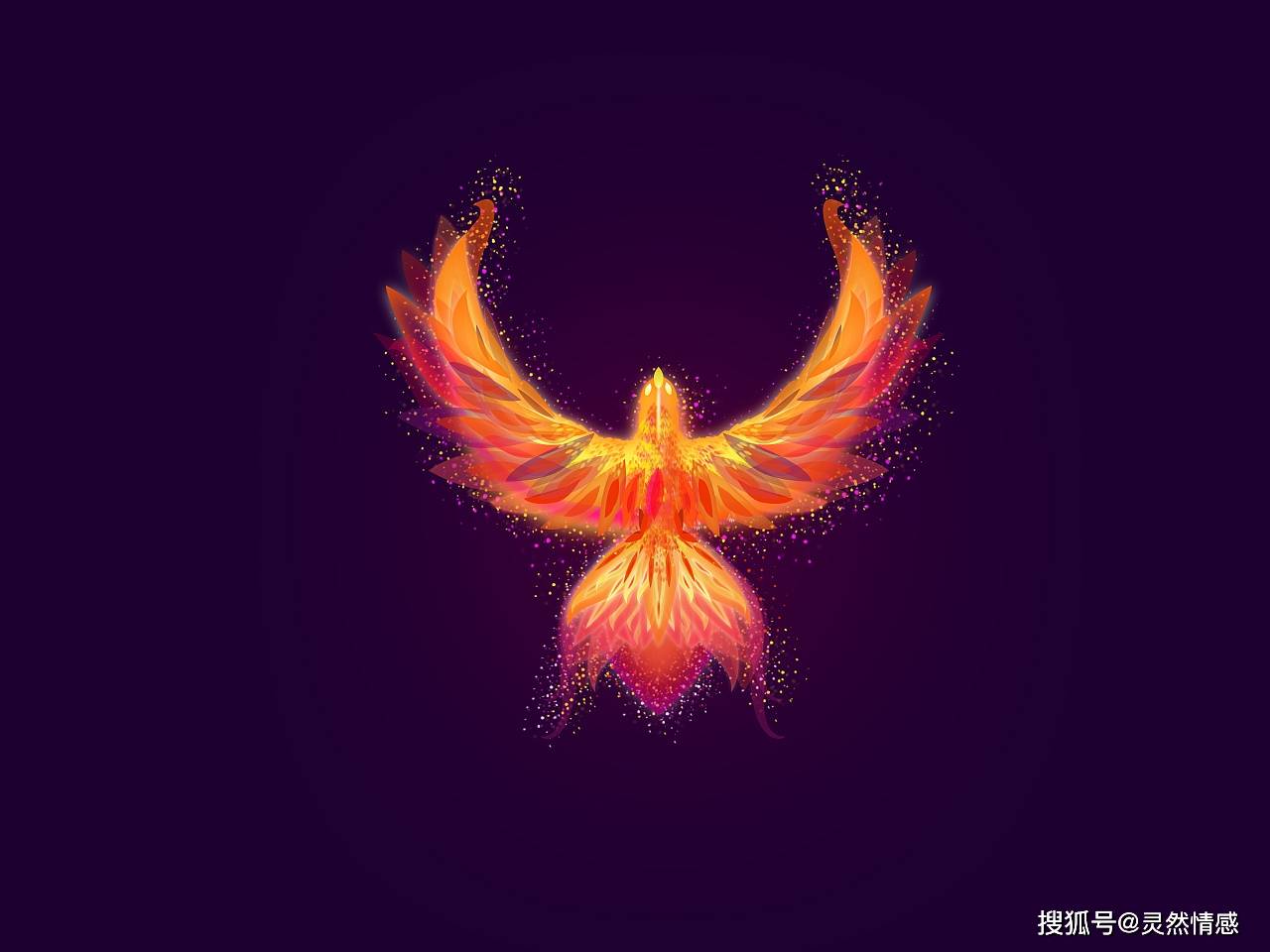 凤凰真的灭绝了吗也许它们就生活在我们身边