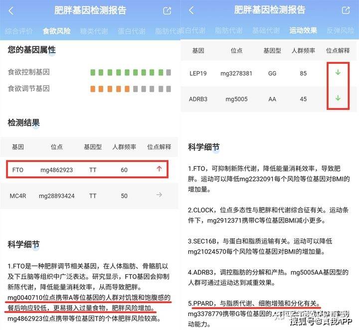 健身|瘦下来的你一定很好看，有没有感觉到世界的美好？
