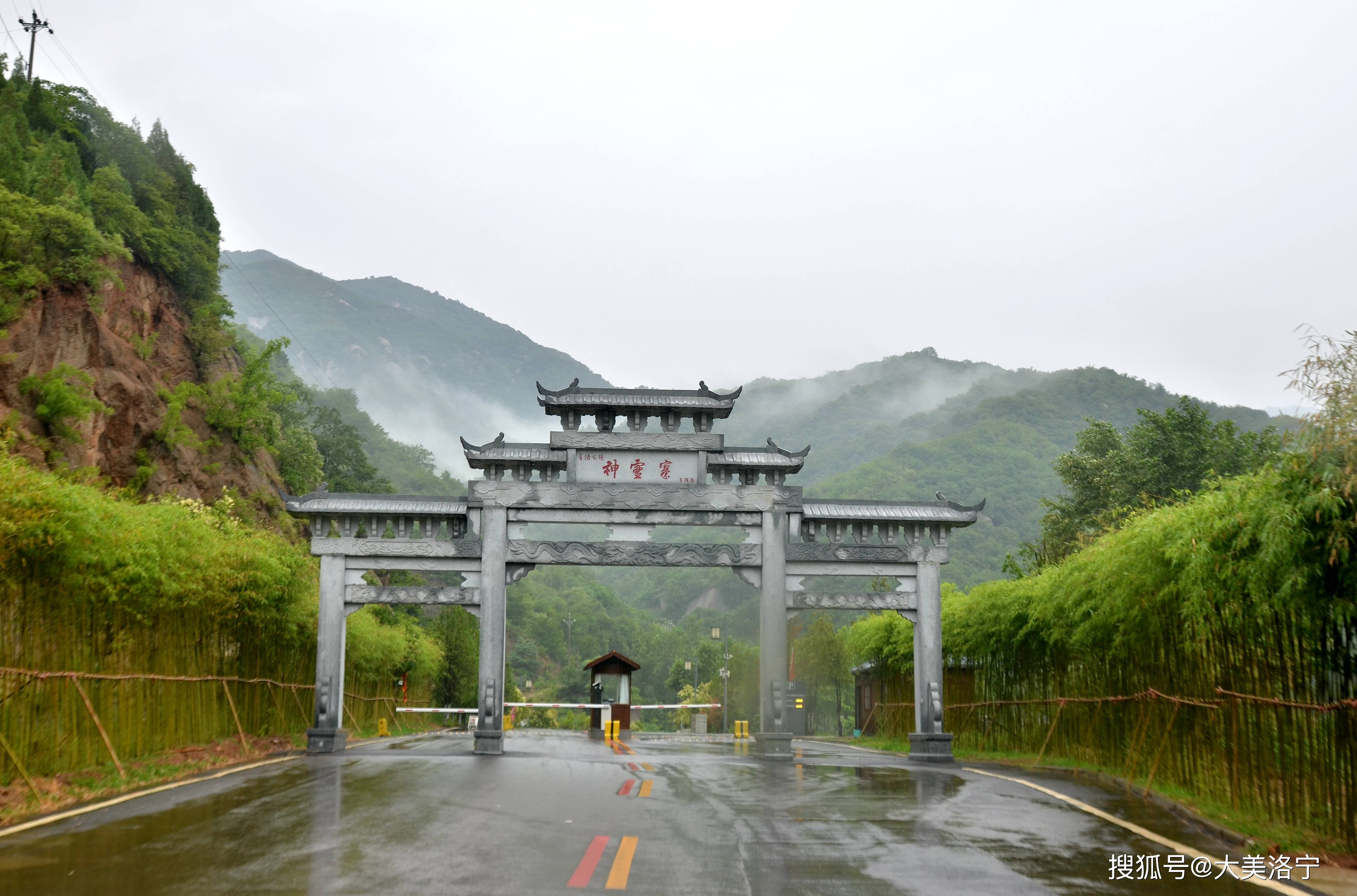 原创河南洛宁协力救助野生大鲵冒雨森林公园放生