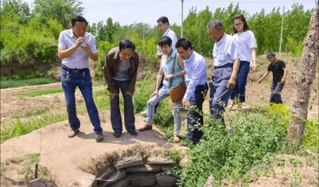 李树勤当美的生命终止她已经永生追忆伊蕾大姐海兴寻根之旅