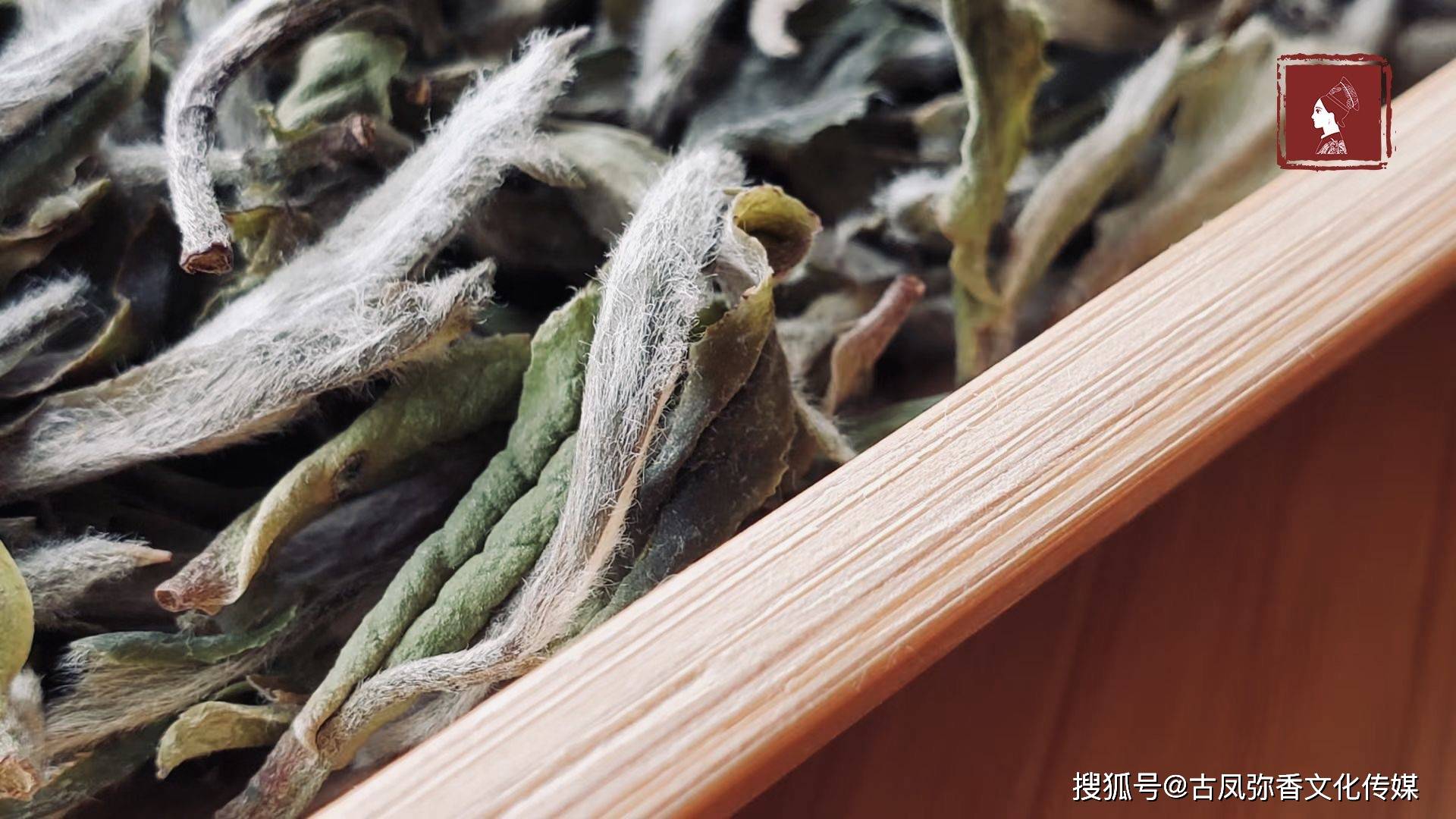 淡泊|【茶禧壹號·千谦】白牡丹