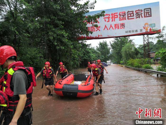 玉树图片盆景_玉树在哪个省份_玉树