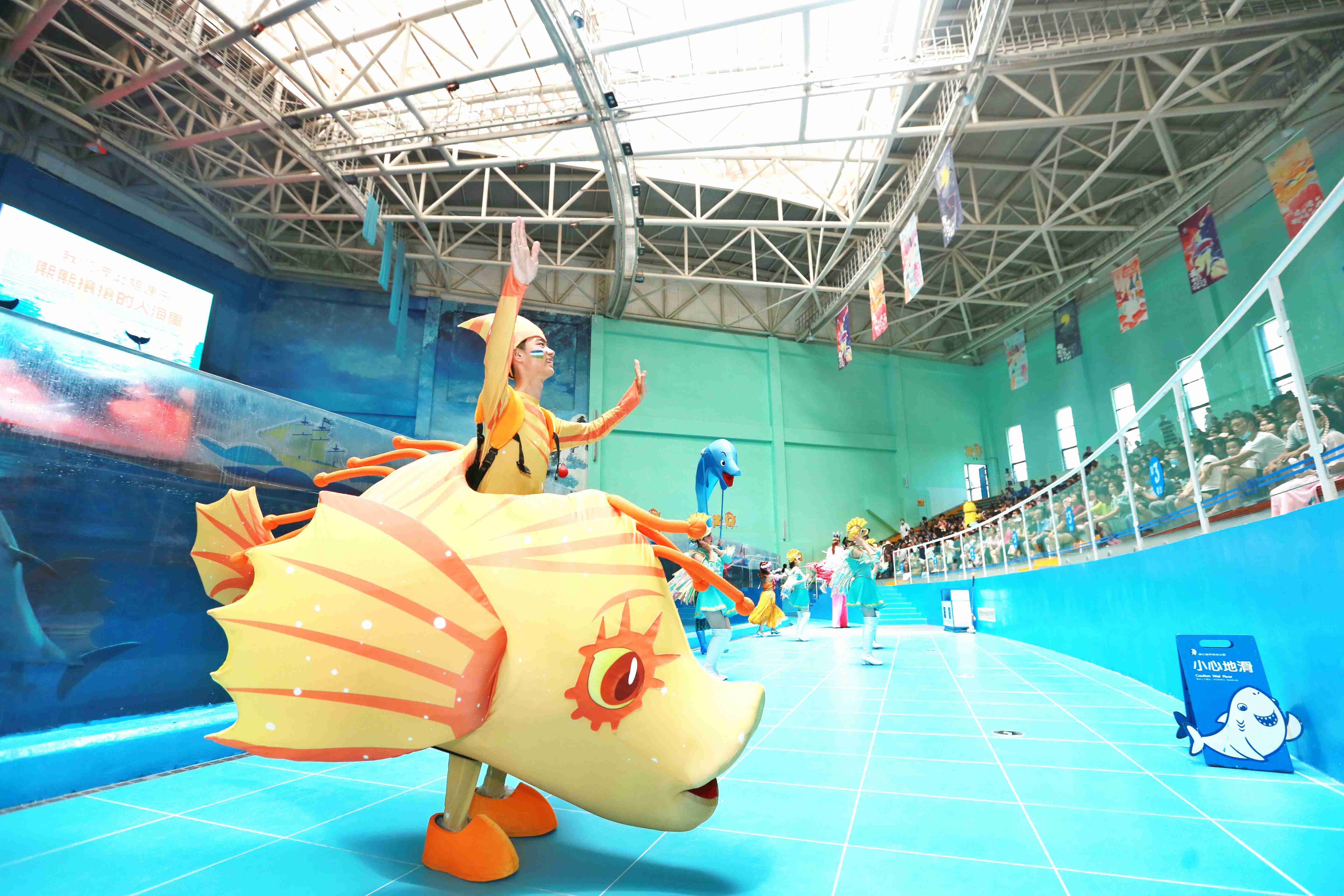 曲江海洋极地公园梦幻海洋嘉年华开启暑期神兽全新玩法