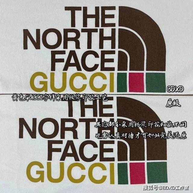 Gucci|Gucci & TNF聯名款短袖T恤