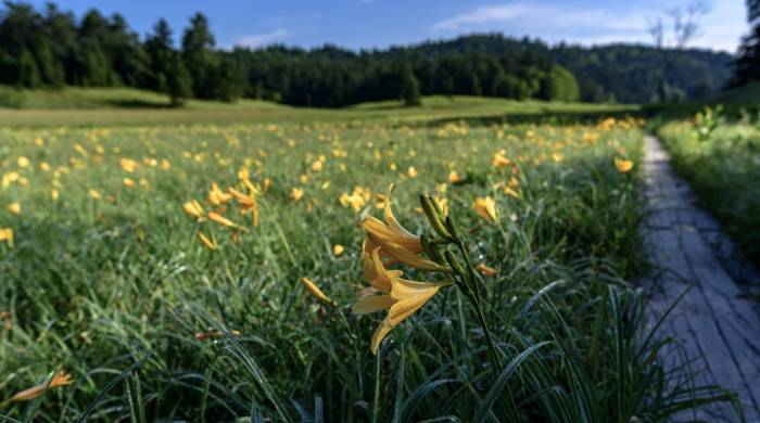 家电产业也要推“前置仓”,美的集团这步棋想干什么?-家电圈官网