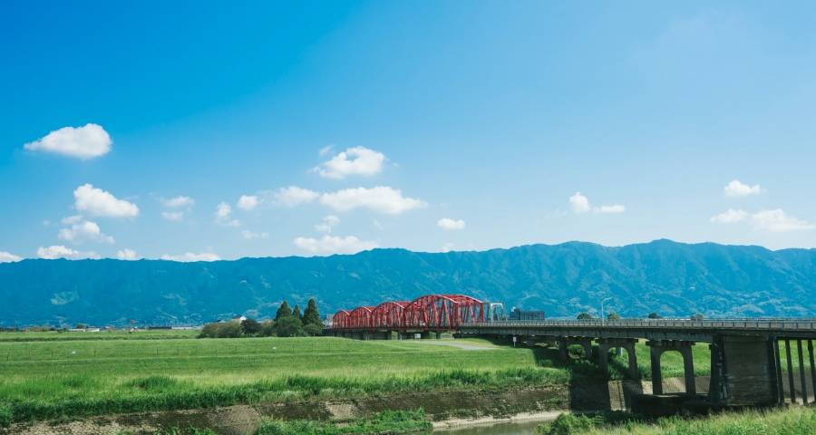下半年面板降价也难刺激彩电市场销售反弹-家电圈官网