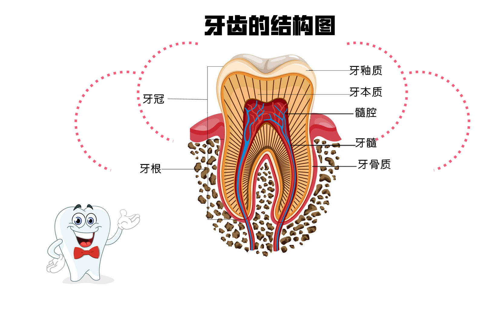 为什么长期刷牙牙齿还很黄原来是这些原因导致