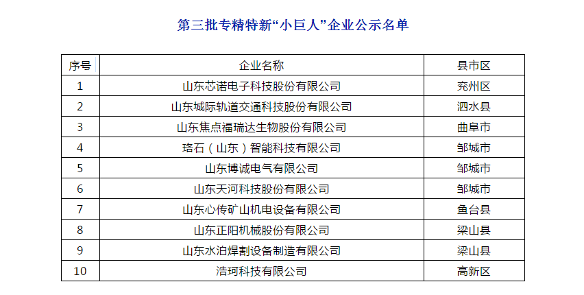 居全省前列 济宁市再添10家专精特新 小巨人 企业 王政