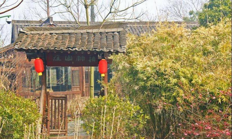 文化|西溪湿地公园