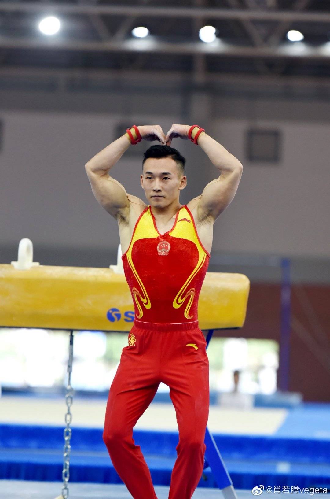 倾国倾城的容貌和一剑封喉的实力都被中国奥运军团的美女帅哥们占了