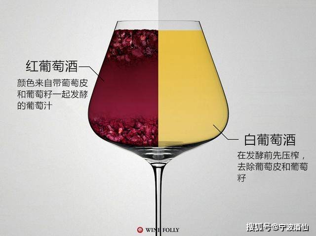 果香|葡萄酒的品评步骤和鉴赏!