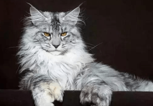 a250b0b3f98b49cfadaa05aba7947490.png