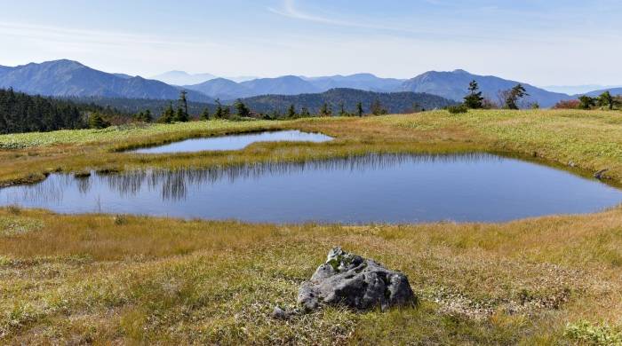一线家电市场的巨头交战，众多企业既要定位定力还要战斗力-家电圈官网