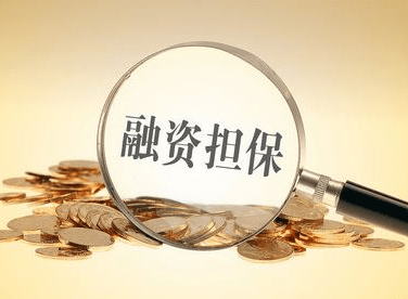 融资担保