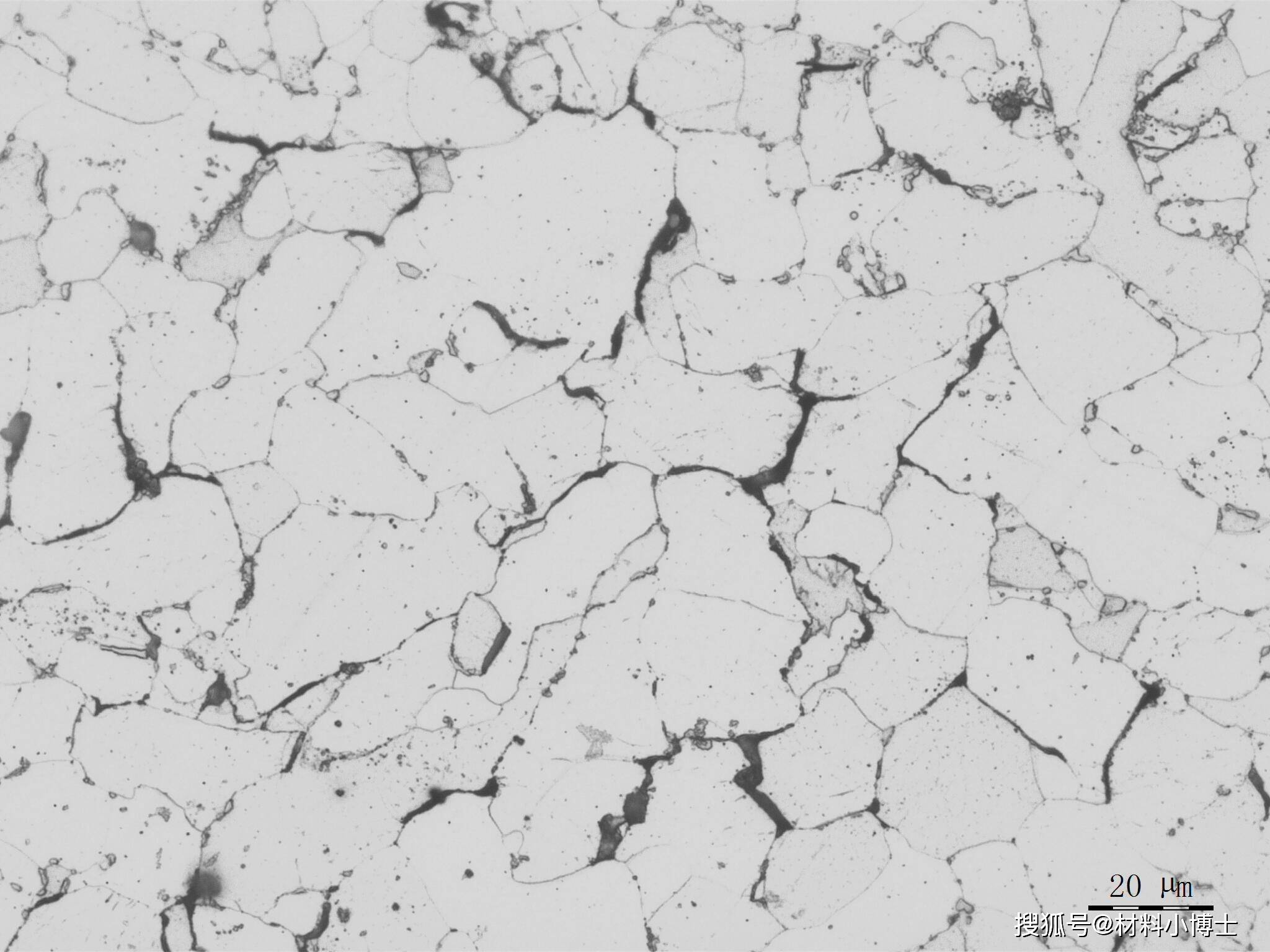 金属材料腐蚀知多少之高温氢腐蚀