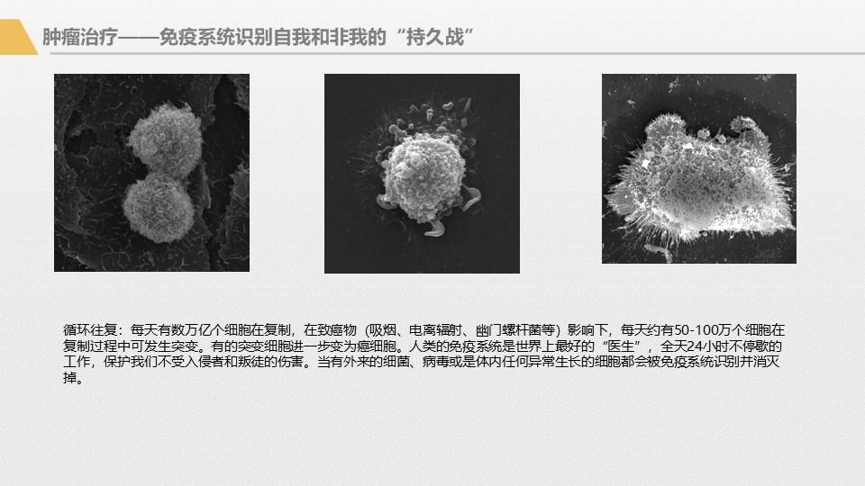 应用|胰腺癌综合治疗大讲堂-免疫治疗专讲主题活动回顾1