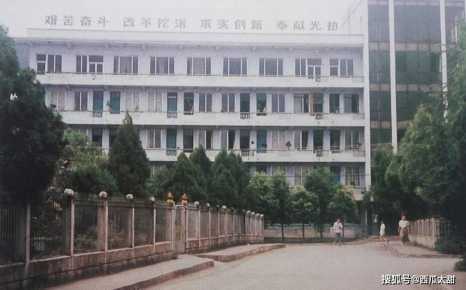 文章配图-54