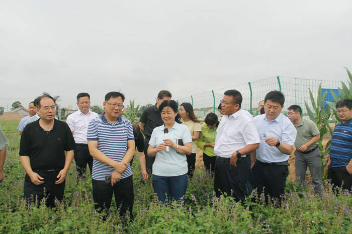 覆黑膜 水肥一体化"高产栽培模式和宝鸡市农技中心马江试验基地柴胡