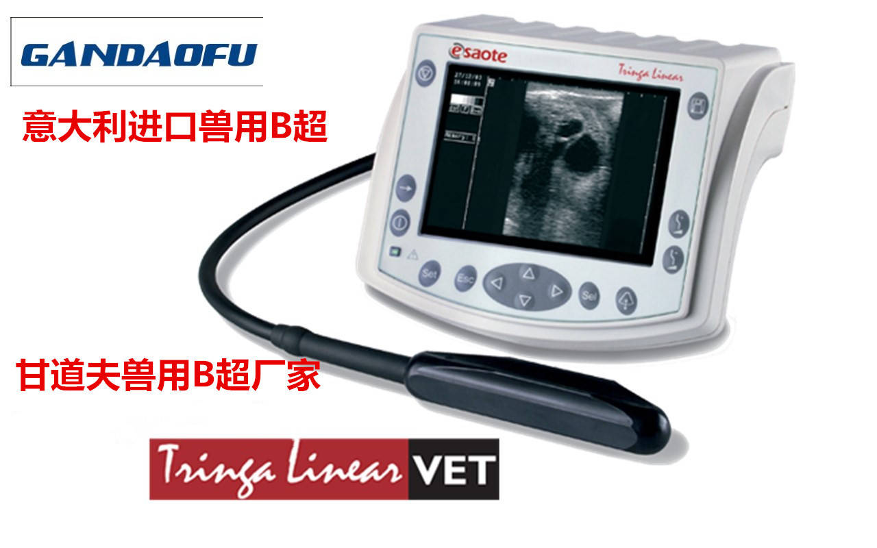 超慢跑节拍器应该调到多少 fb74a38a72ce4af4b8a1bbcc4b417c74.jpeg