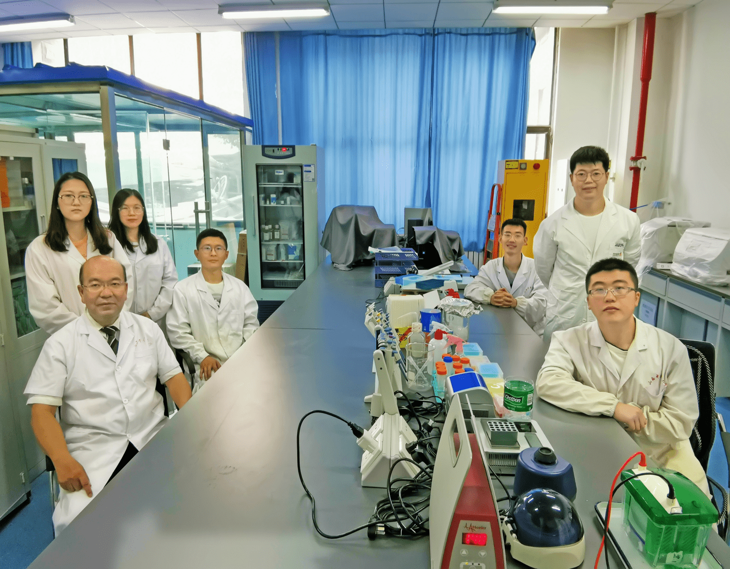 山西|阳府井枣芽红茶的功效研究