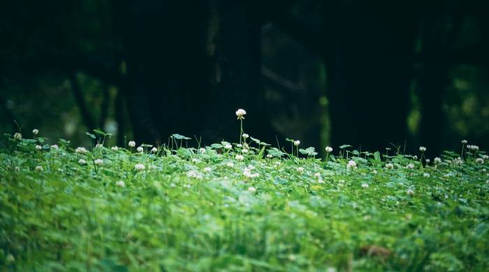 家电企业搞回收体系能刺激换新消费?需要大企业破冰-家电圈官网