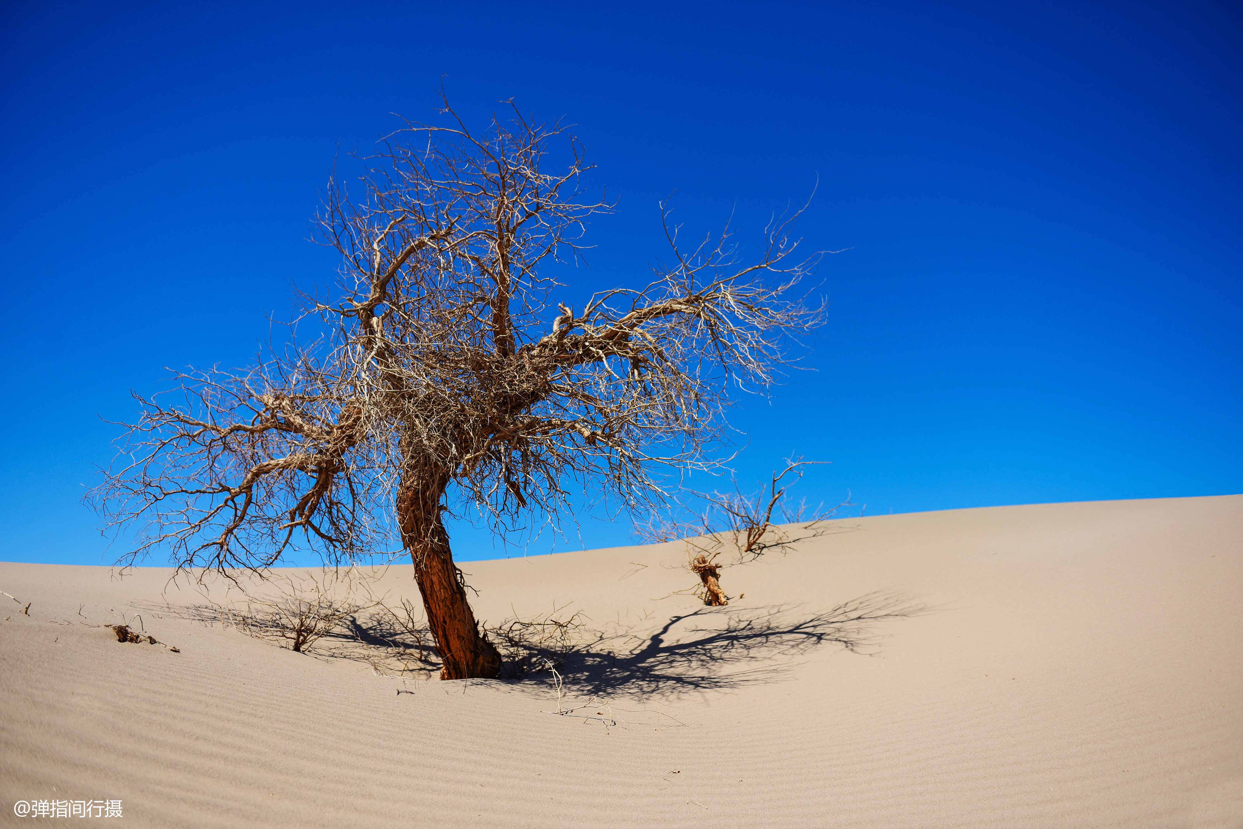 神秘的内蒙古阿拉善,地广人稀风光奇美,是自驾越野的荒凉秘境_沙漠
